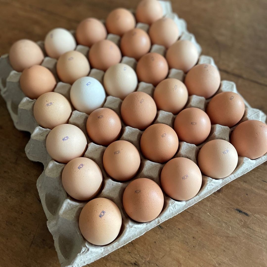85 x 30 Pocket Pulp Egg Catering Trays * Does not contain eggs