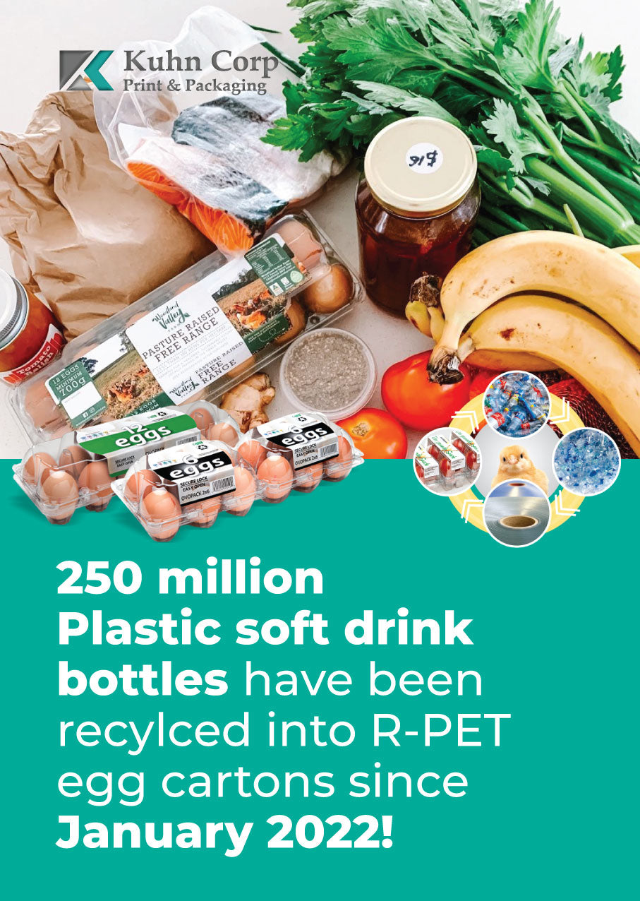 195x(Sets) 30 Cell Standard RPET Egg Cartons - Unlabelled