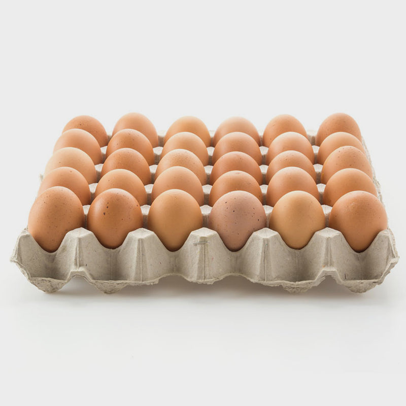 85 x 30 Pocket Pulp Egg Catering Trays * Does not contain eggs