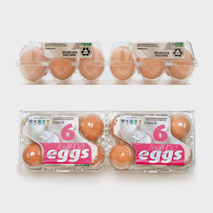180 x 2x6 Jumbo RPET Vision Egg Cartons - Unlabelled