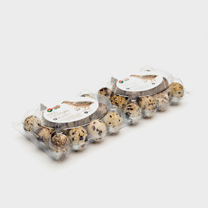 420 x 2x12 RPET Quail Egg Cartons - Unlabelled