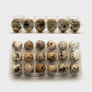 330 x 18 RPET Quail Egg Cartons - Unlabelled