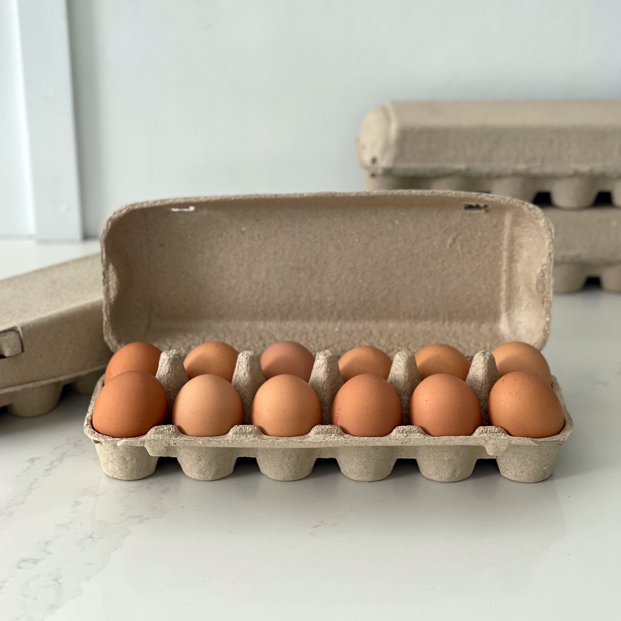 150 x 12 Cell Jumbo Pulp Egg Cartons - Unlabelled