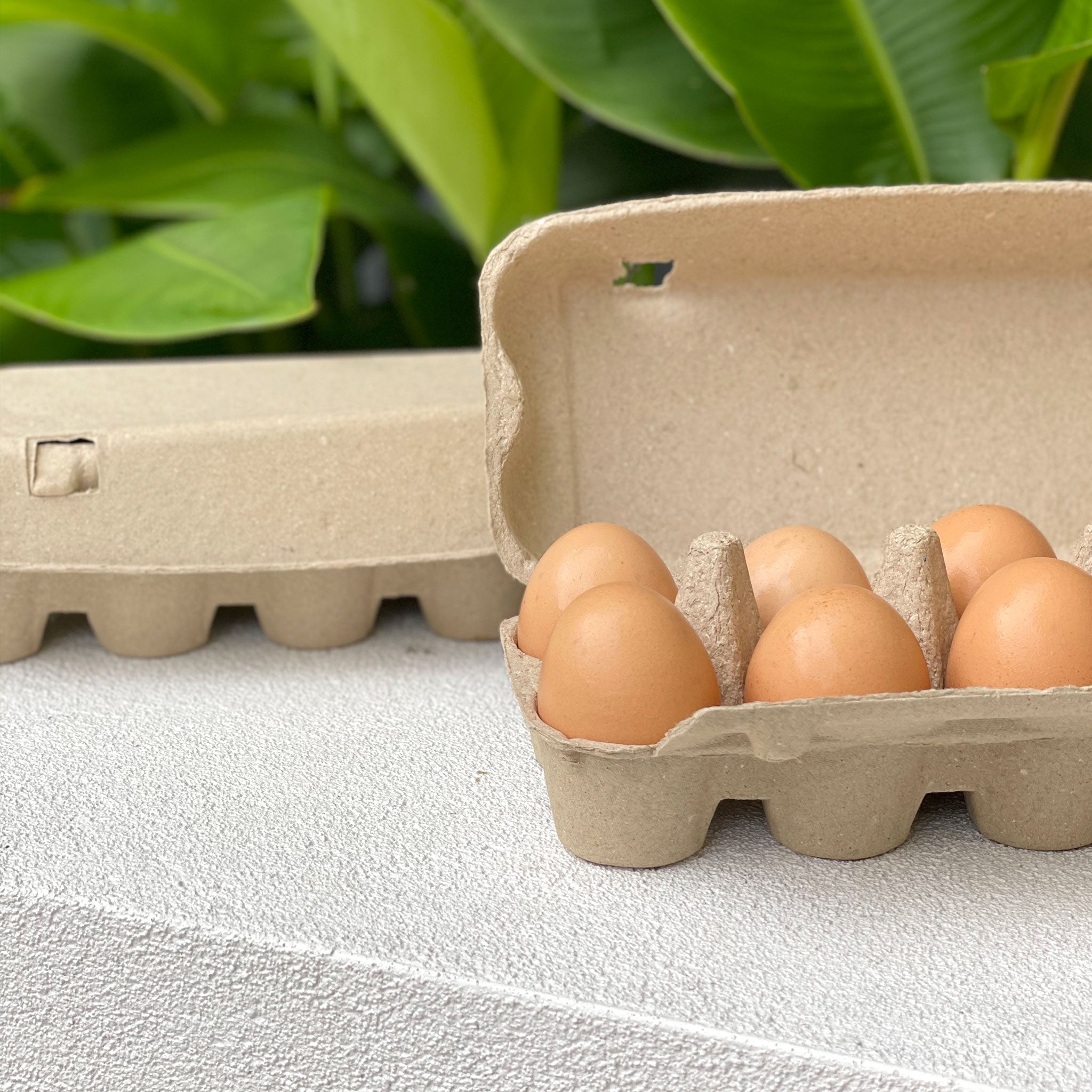 150 x 12 Cell Jumbo Pulp Egg Cartons - Unlabelled