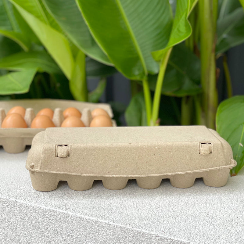 160 x 12 Cell Standard Pulp Egg Cartons - Unlabelled