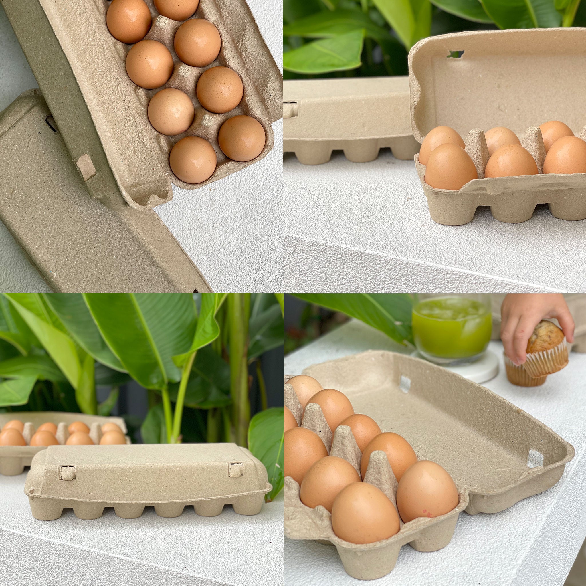 150 x 12 Cell Jumbo Pulp Egg Cartons - Unlabelled