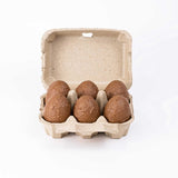 180 x 2x6 Egg Standard Pulp Cartons - Unlabelled