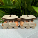 180 x 2x6 Egg Standard Pulp Cartons - Unlabelled