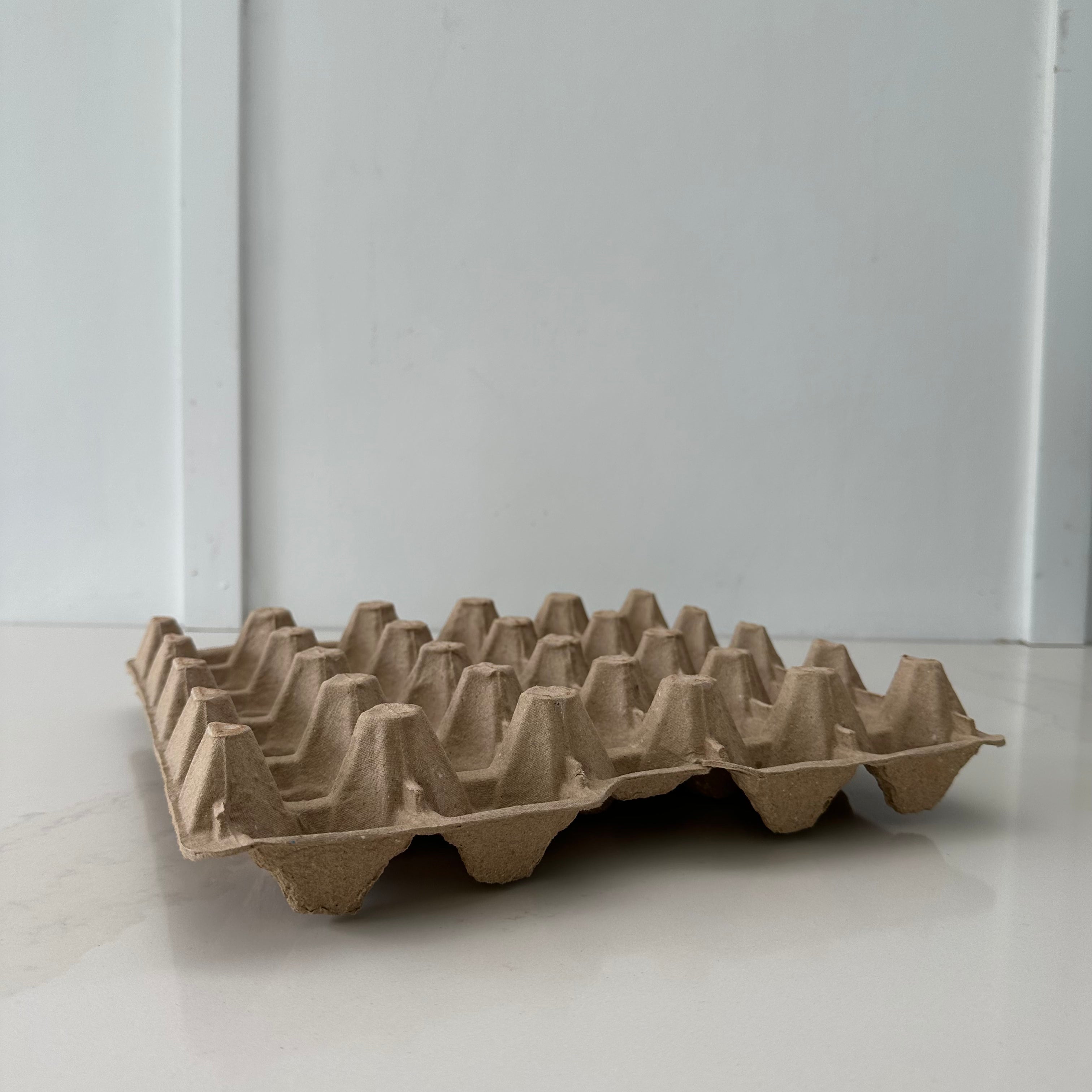 110 x 20 pocket Jumbo Pulp Egg Catering Trays