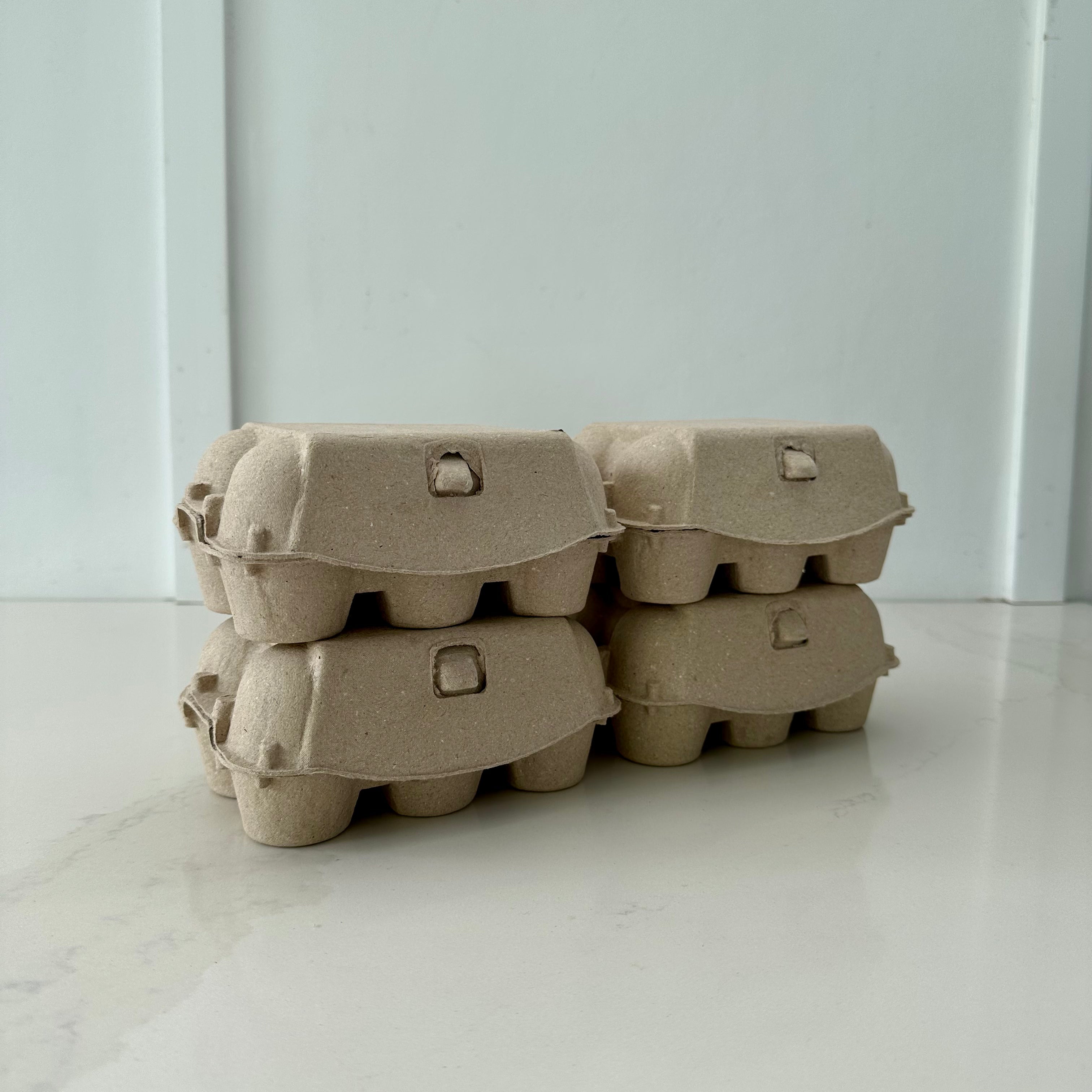 180 x 2x6 Egg Standard Pulp Cartons - Unlabelled