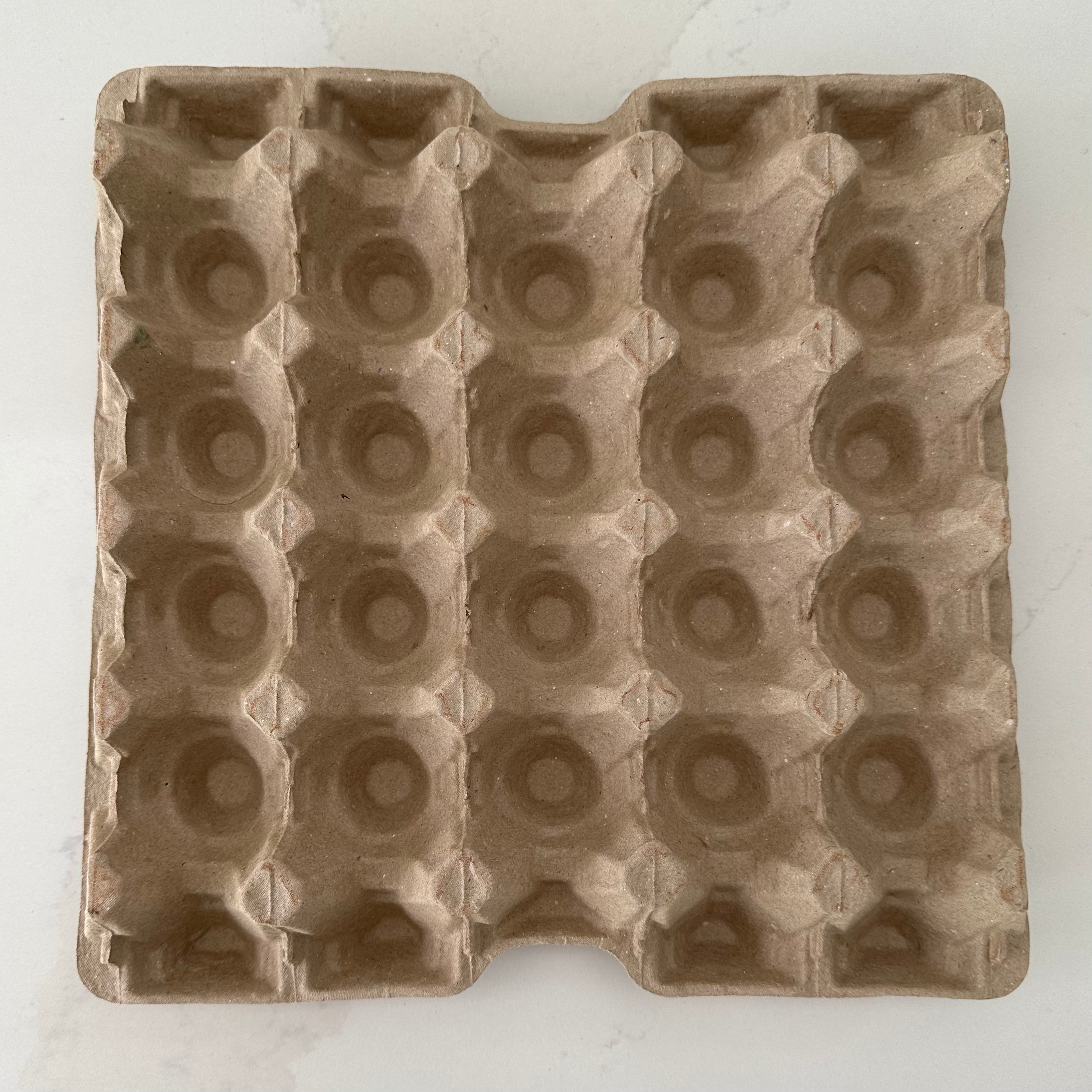 110 x 20 pocket Jumbo Pulp Egg Catering Trays