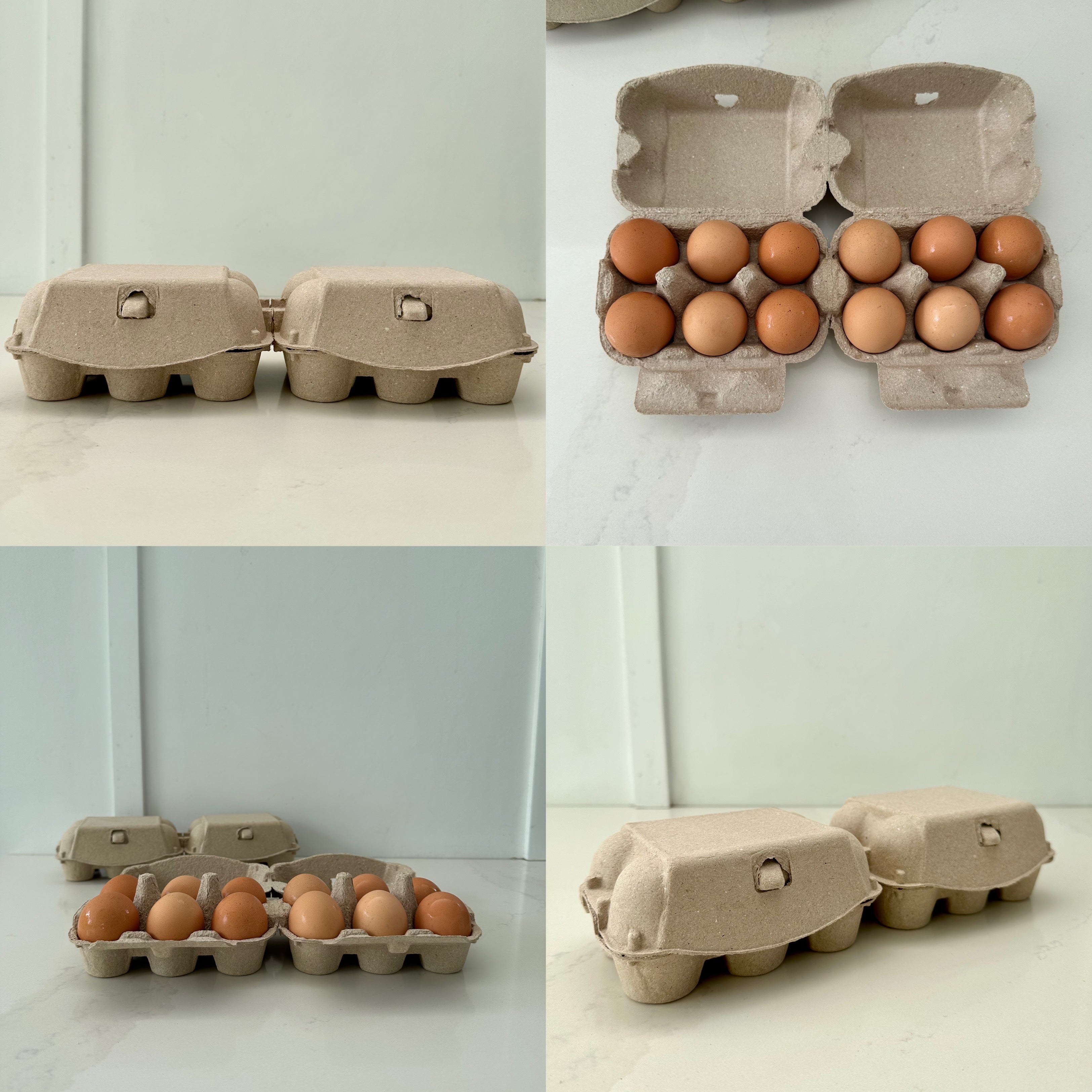 180 x 2x6 Egg Standard Pulp Cartons - Unlabelled
