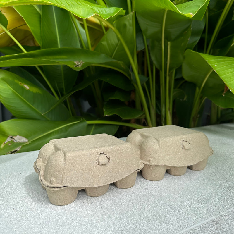 180 x 2x6 Egg Standard Pulp Cartons - Unlabelled