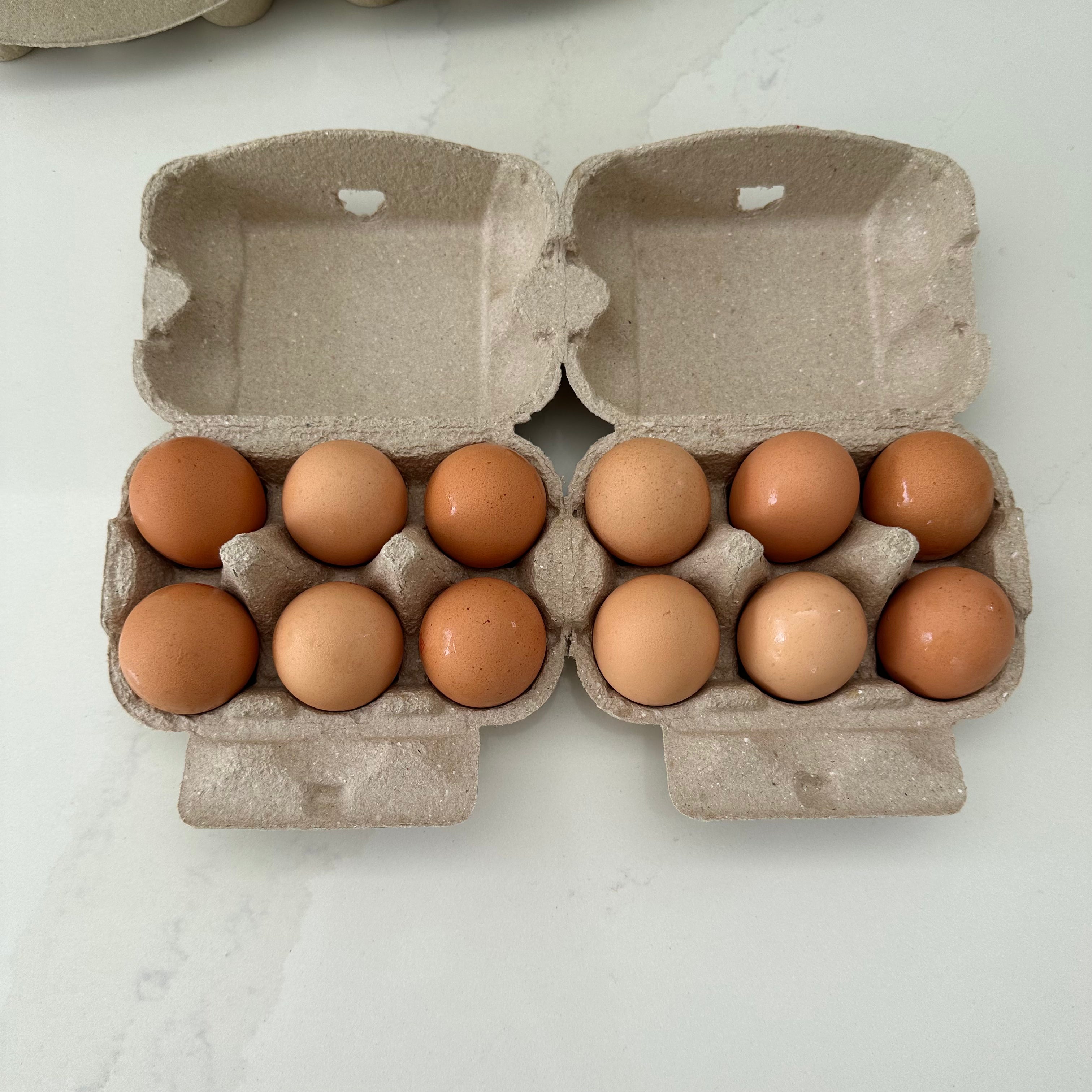 180 x 2x6 Egg Standard Pulp Cartons - Unlabelled