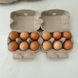 180 x 2x6 Egg Standard Pulp Cartons - Unlabelled
