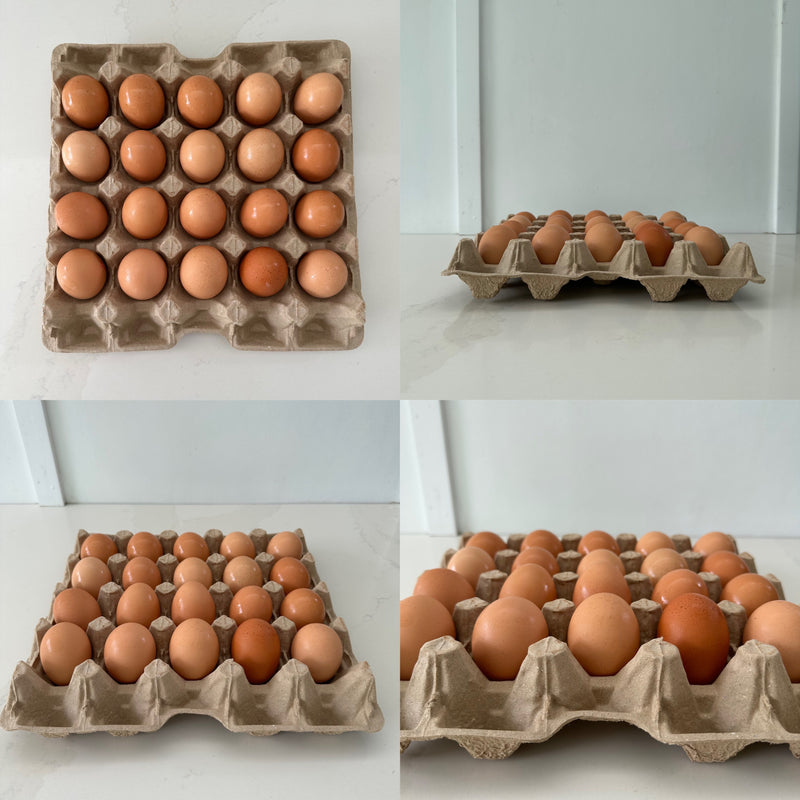 110 x 20 pocket Jumbo Pulp Egg Catering Trays