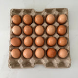 110 x 20 pocket Jumbo Pulp Egg Catering Trays