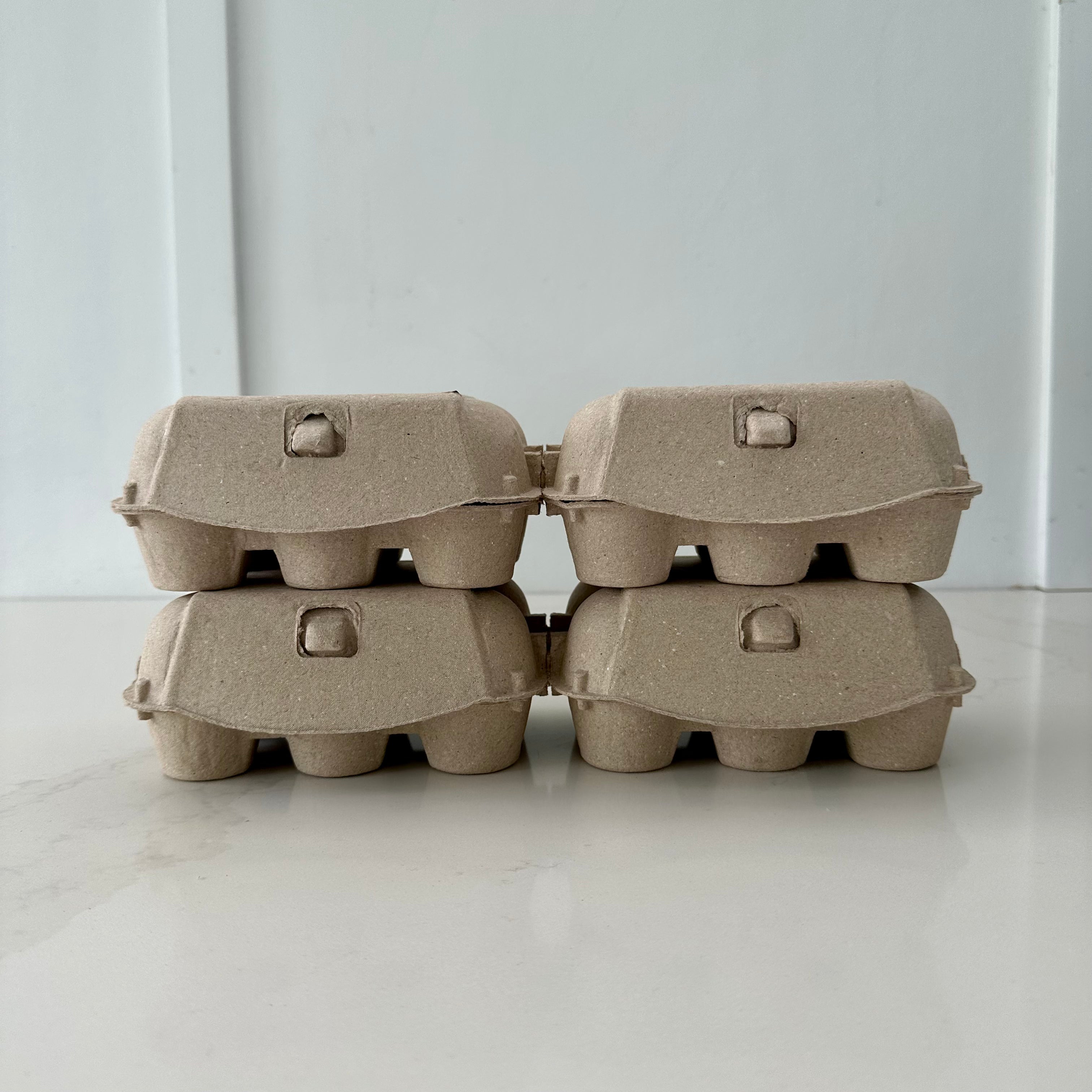 180 x 2x6 Egg Standard Pulp Cartons - Unlabelled