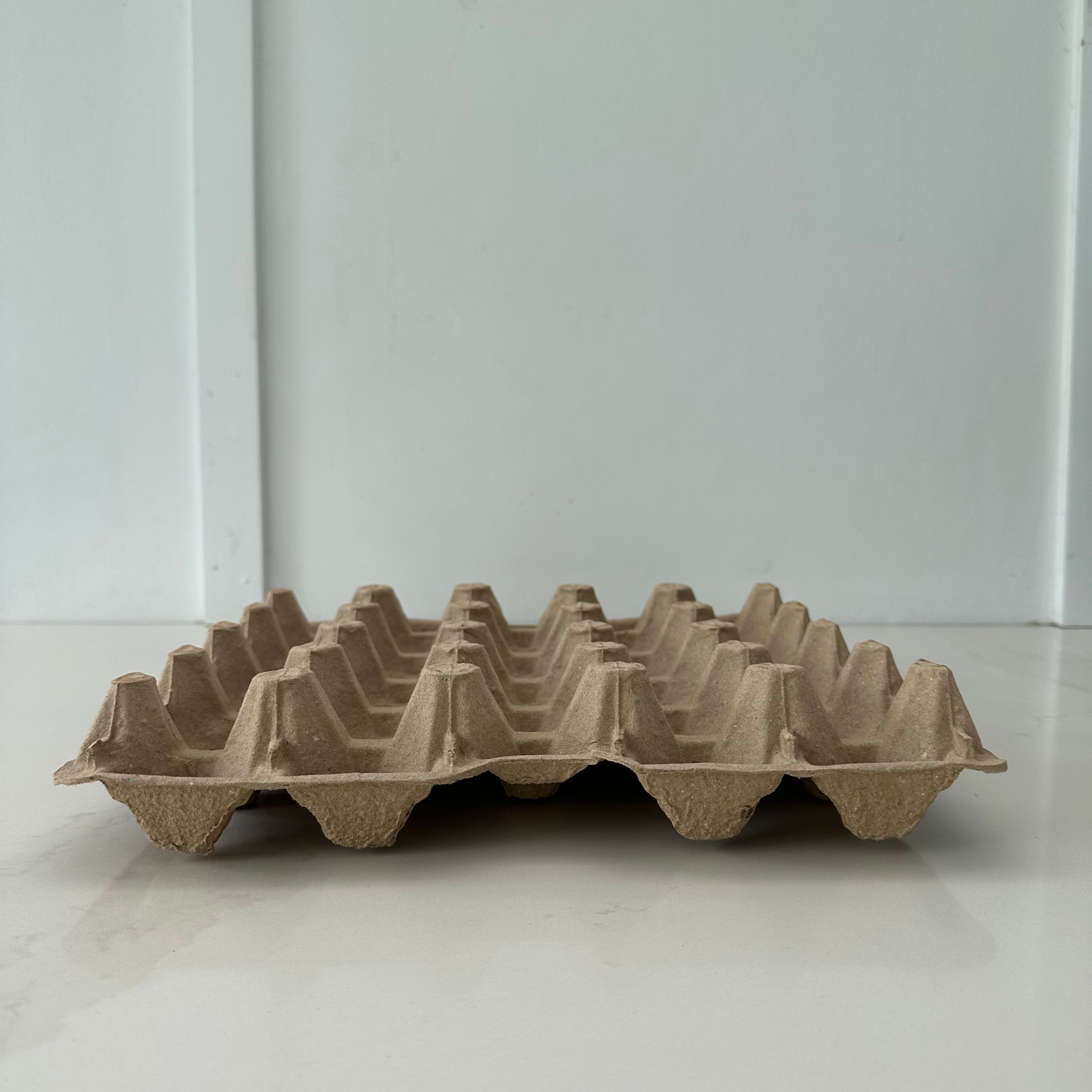 110 x 20 pocket Jumbo Pulp Egg Catering Trays