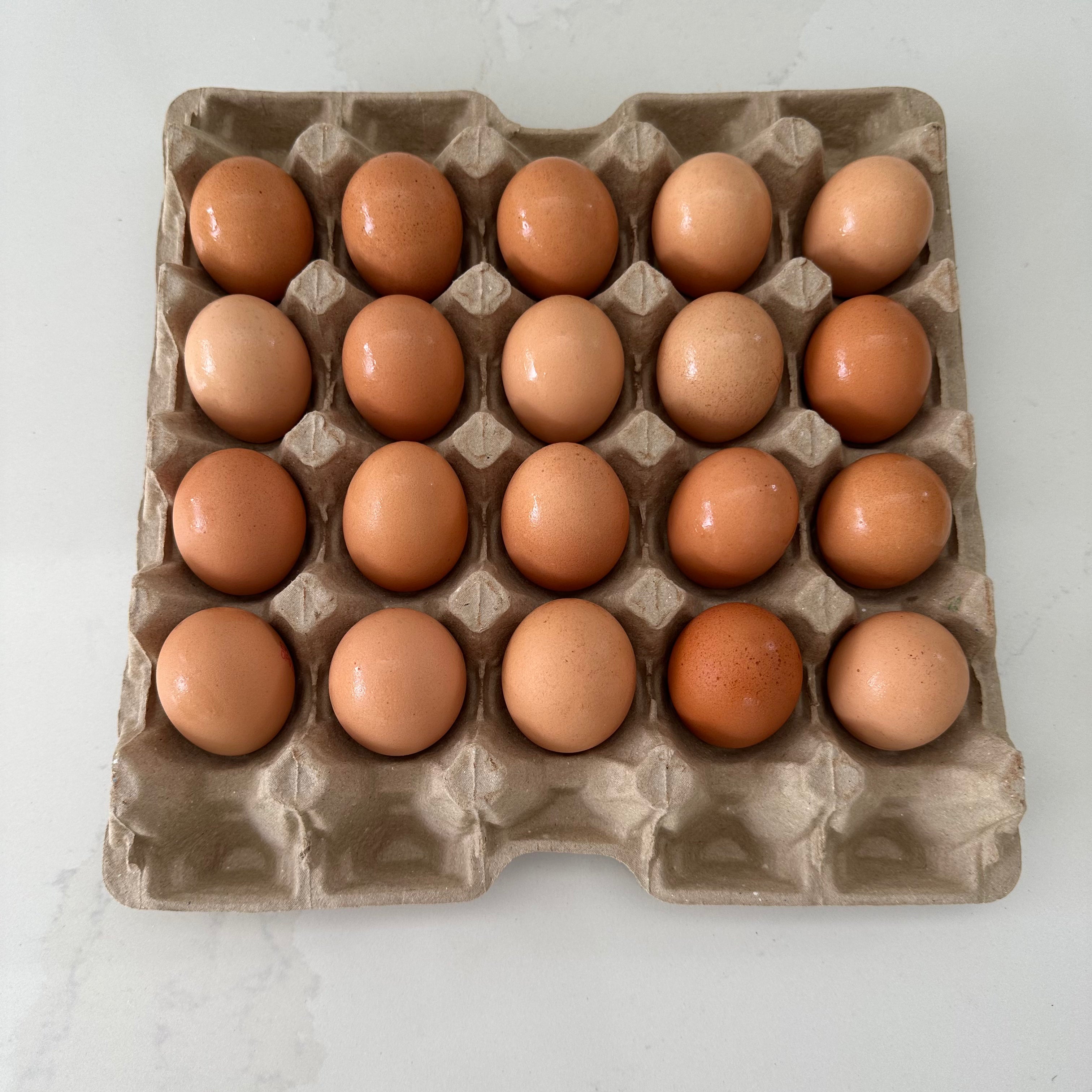 110 x 20 pocket Jumbo Pulp Egg Catering Trays