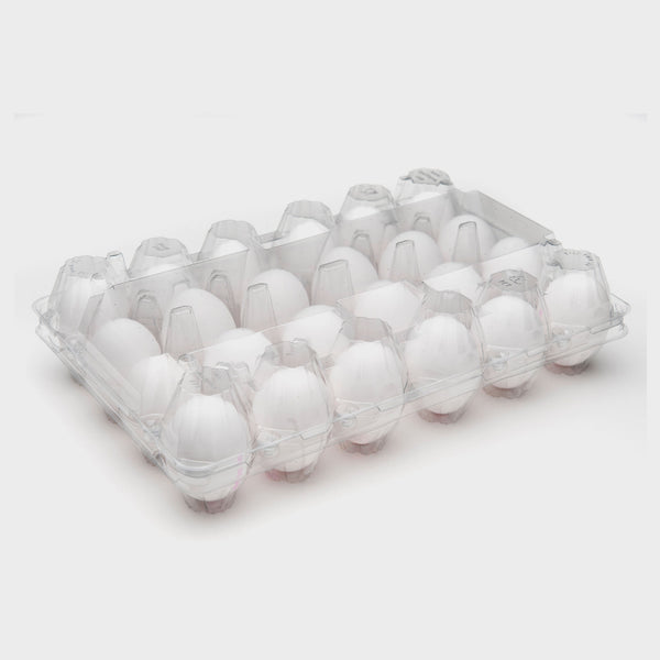 360x 24 Traypack Egg Carton - Standard RPET Unlabelled Bulk Wholesale ...